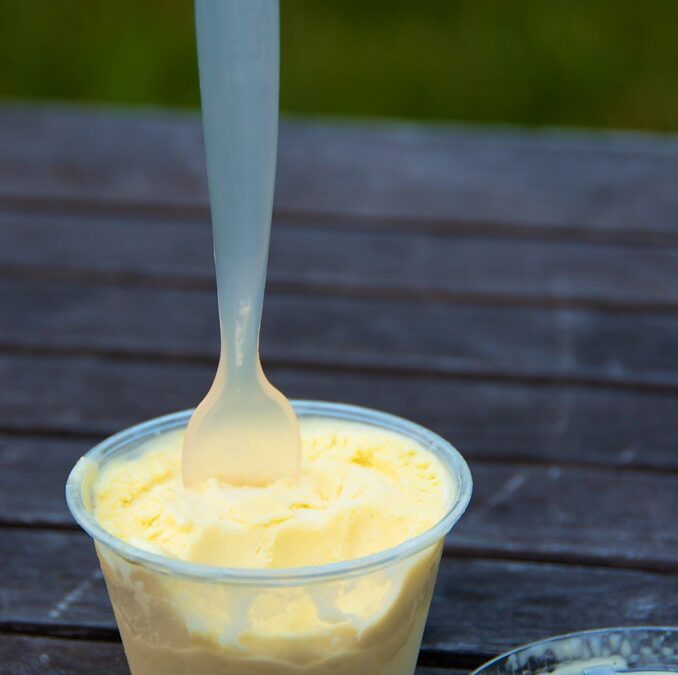 EdTech Insight – Yogurt maker stirs in SAP to boost its demand planning capability