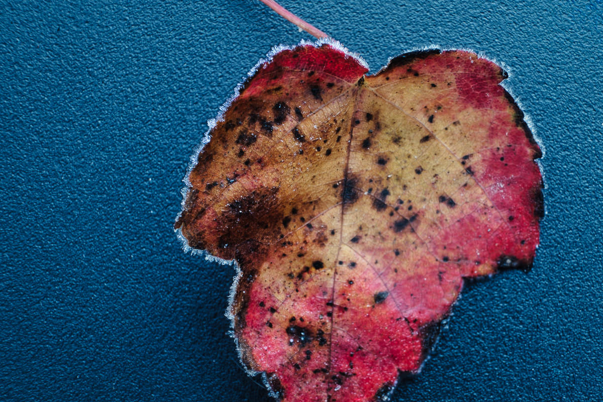 edtech-insight-–-cisos-are-not-just-the-keepers-of-our-data-–-they-must-be-its-custodians