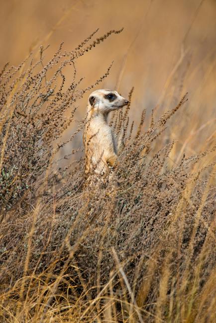 edtech-insight-–-africa’s-leap-ahead-into-cloud:-opportunities-and-barriers edtech-insight-–-africa’s-leap-ahead-into-cloud:-opportunities-and-barriers