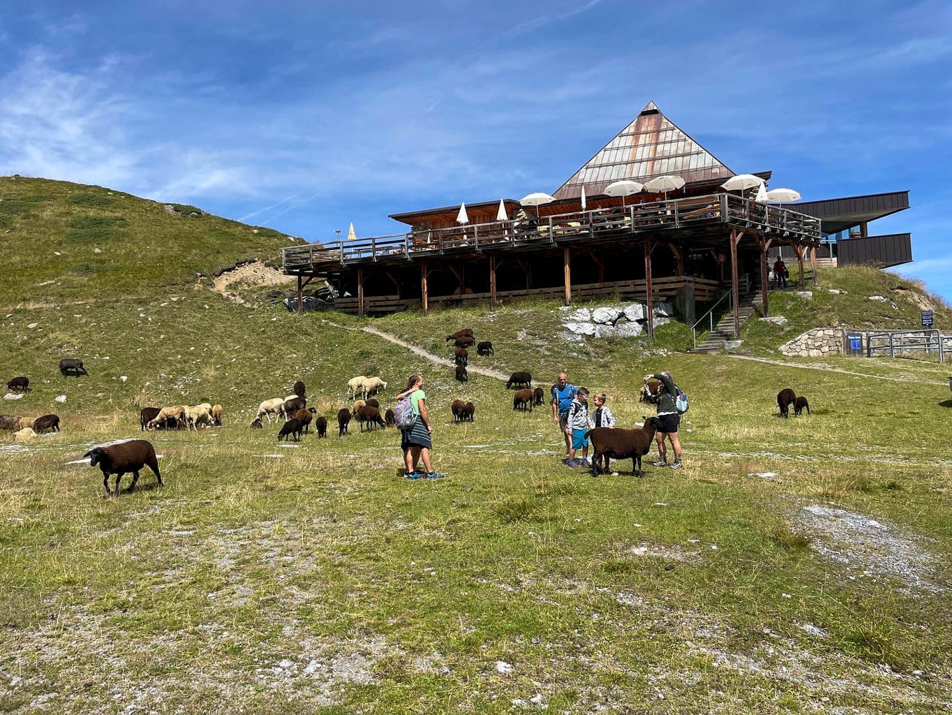 edtech-insight-–-travel-disruptors:-capturing-b2b-growth edtech-insight-–-travel-disruptors:-capturing-b2b-growth