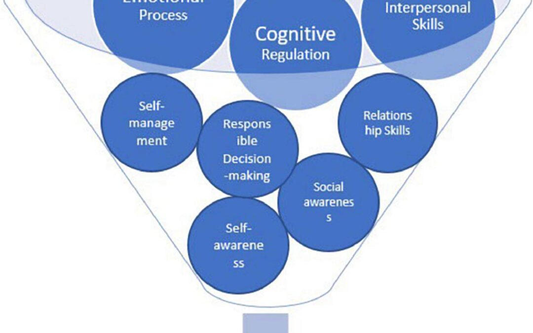 SEL for Students with Special Needs: Effective Strategies to Foster Social-Emotional Learning