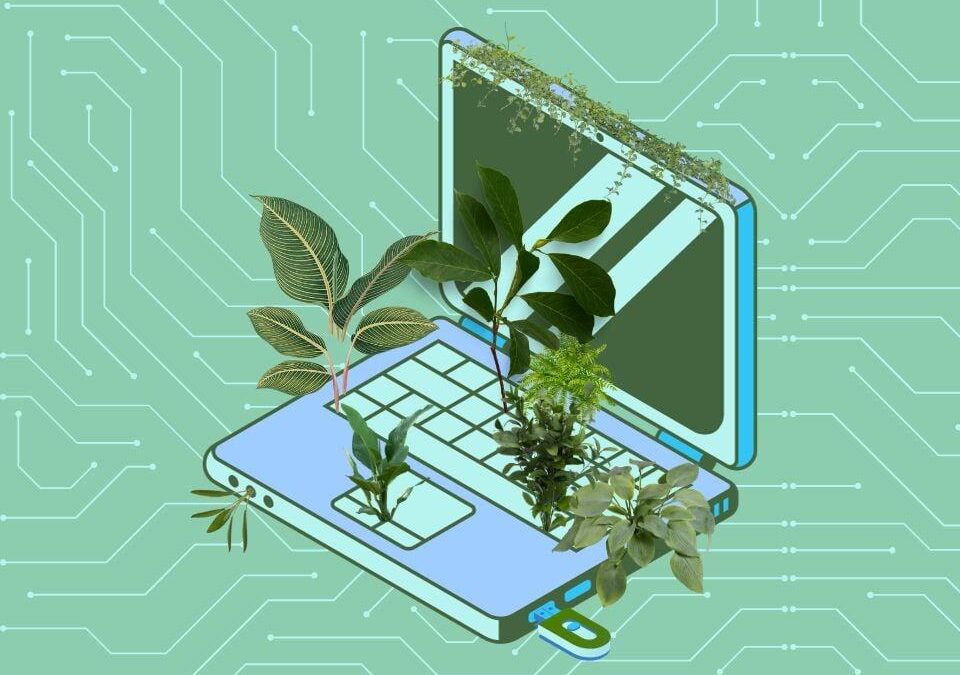 Top Sustainable Technologies Revolutionizing Educational Settings: A 2024 Guide
