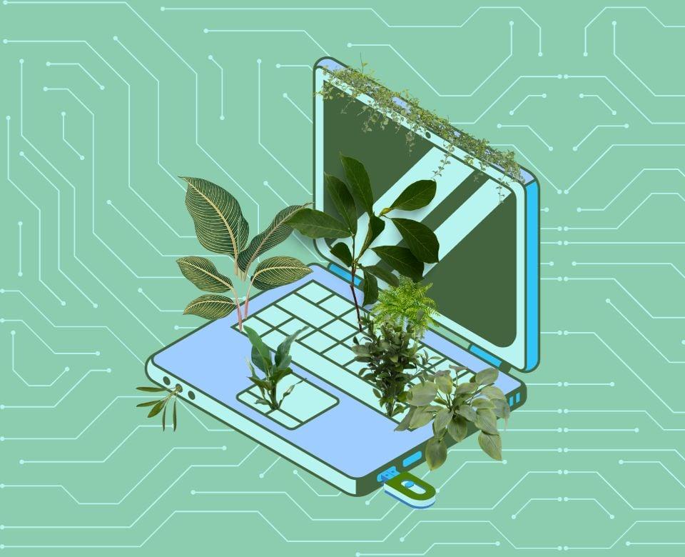 Top Sustainable Technologies Revolutionizing Educational Settings: A 2024 Guide