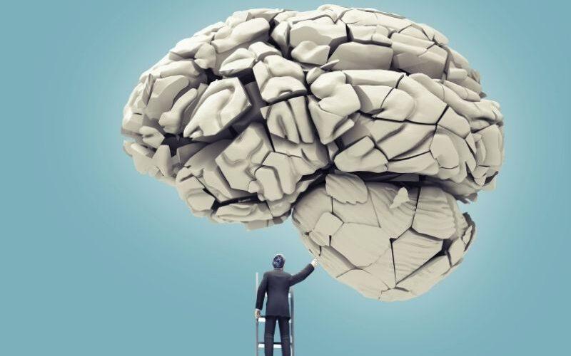 Brand Manager in EdTech: Key Roles, Skills, and Career Insights