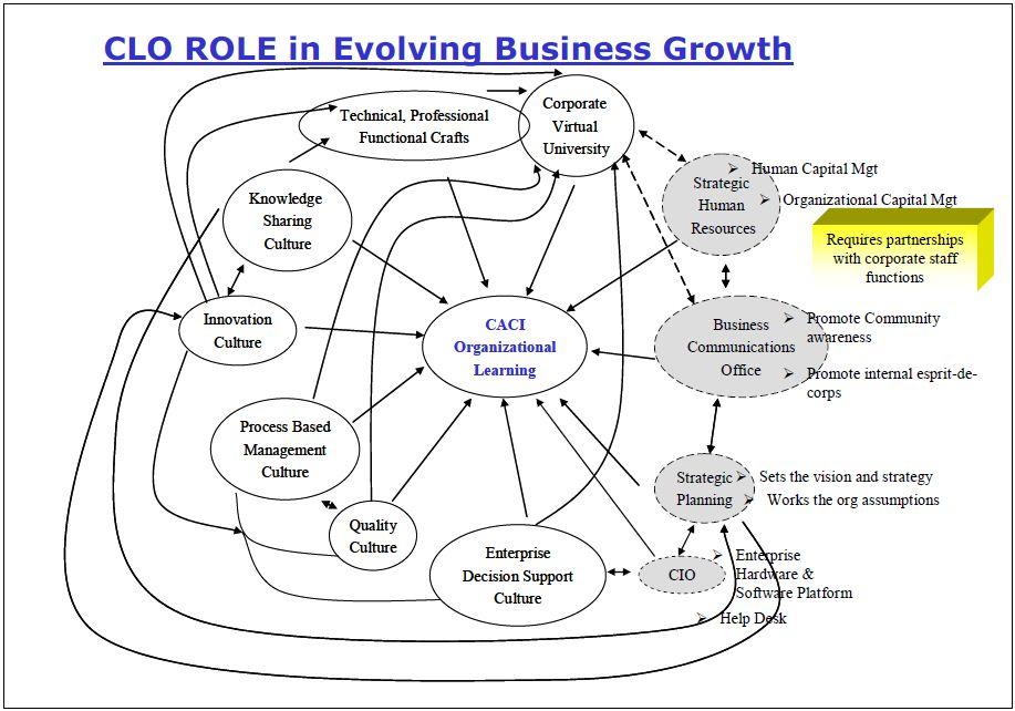 What Does a Chief Learning Officer (CLO) Do? Key Responsibilities and Impact Explained