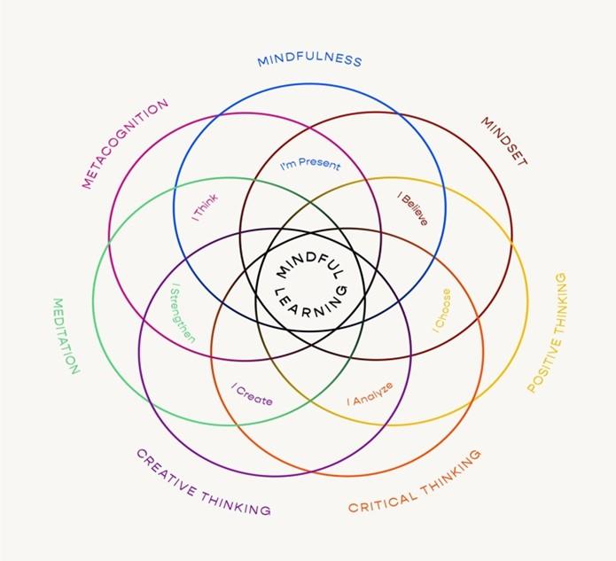 Unlocking Success: The Crucial Role of Mindfulness in Modern Education