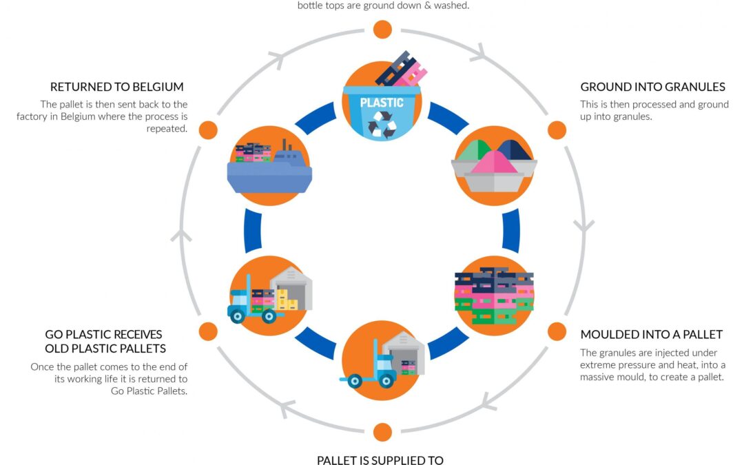 Micro-Credentials on the Rise: Transforming Professional Development in Today’s Workforce