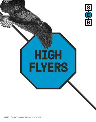 What Does an Educational Research Analyst Do? Role, Skills & Career Guide