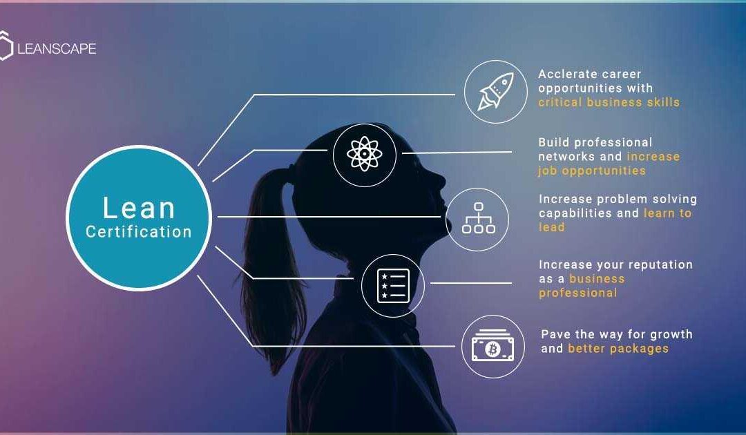 Courseware Developer: Essential Skills, Career Path, and How to Succeed in EdTech