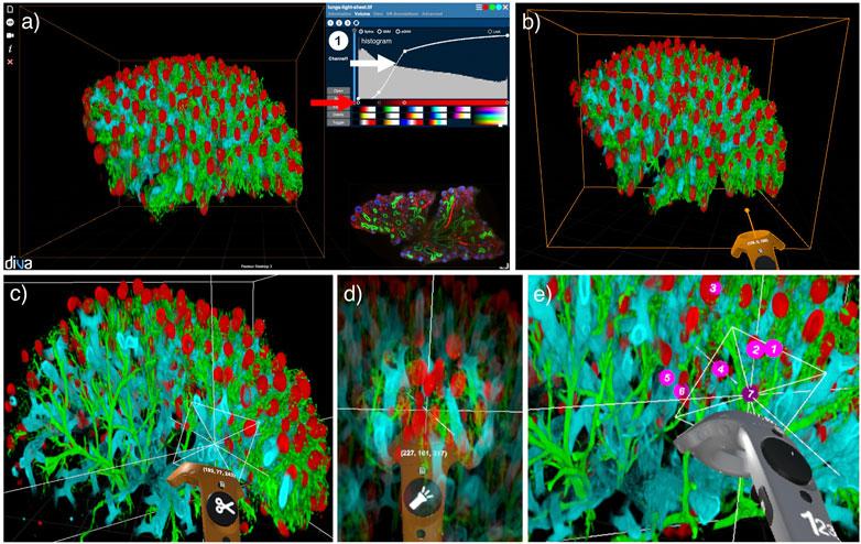 Integrating VR/AR into Curricula: Top Strategies for Overcoming Common Challenges