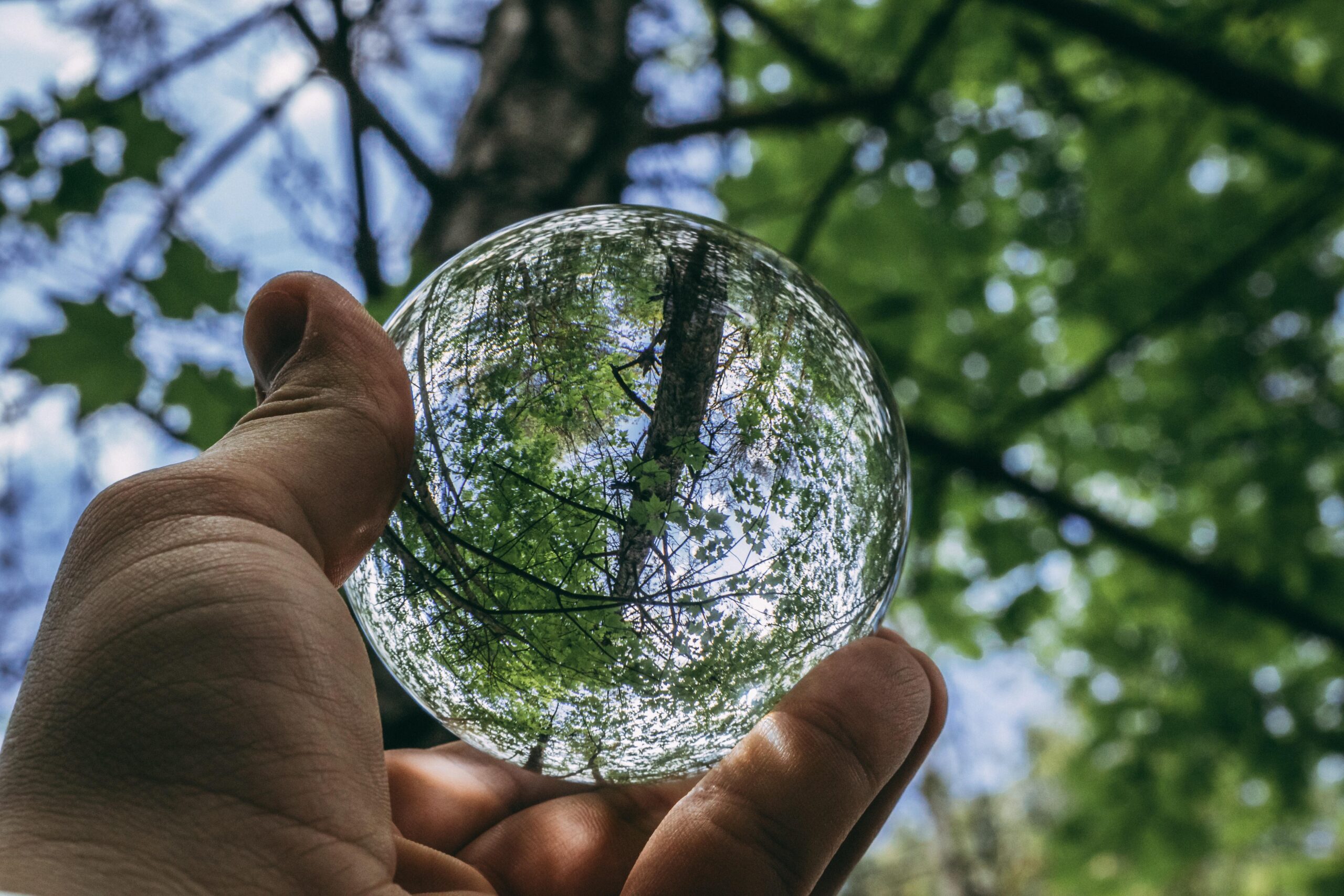 EdTech Meets Environmental Education: Innovative Solutions Shaping a Greener Future