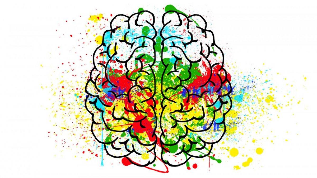 Why Emotional Intelligence Matters: Unlocking Success in Modern Education