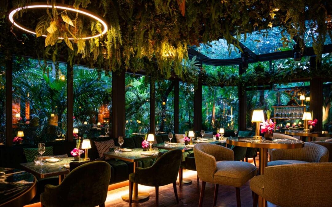 Blended Learning Designer: Key Skills, Best Practices, and Career Insights for 2024