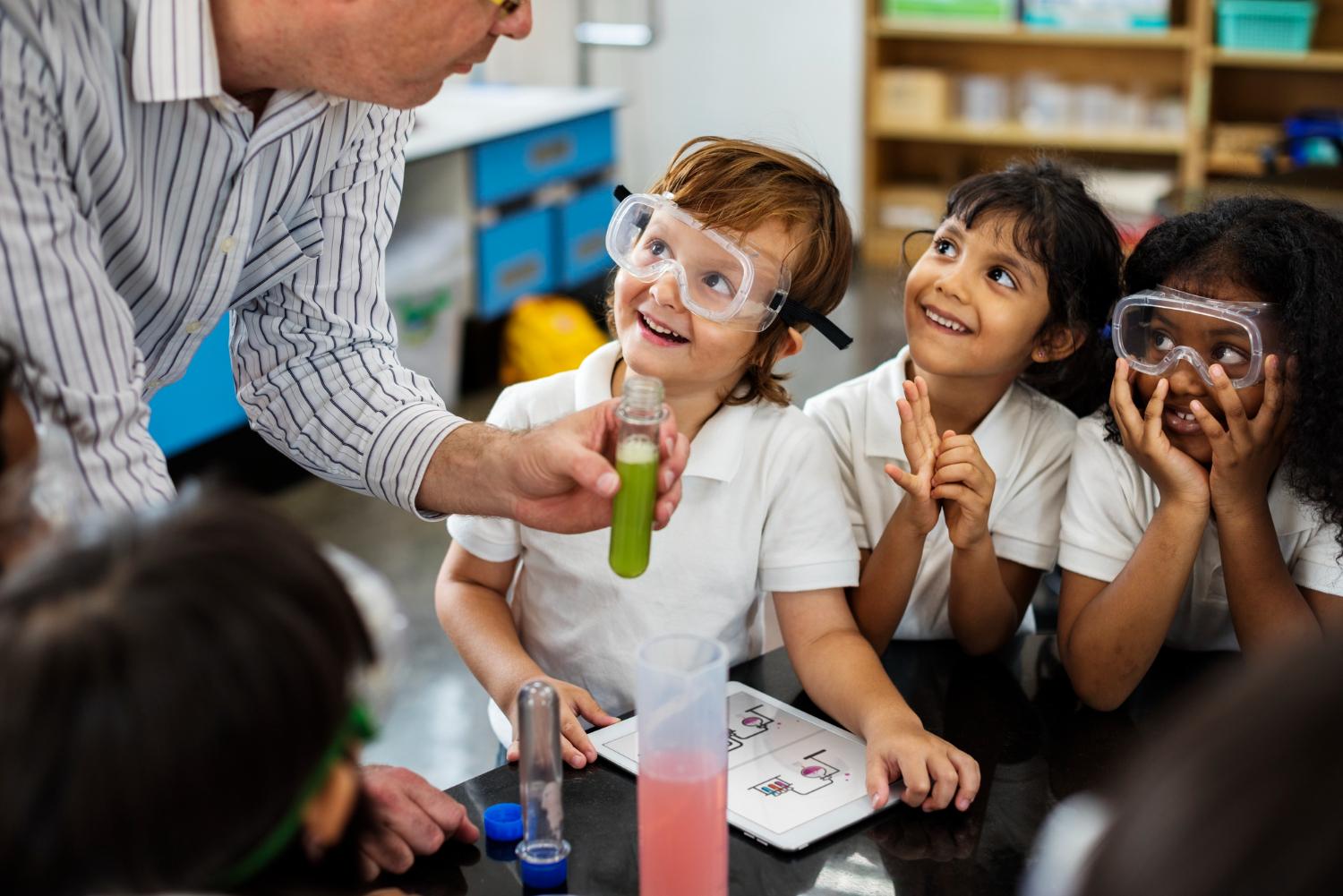 Inclusive Curriculum Design: Effective Strategies for Diverse Learners