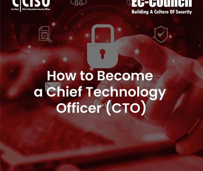 How to Become a Chief Technology Officer (CTO): Education Requirements & Pathways