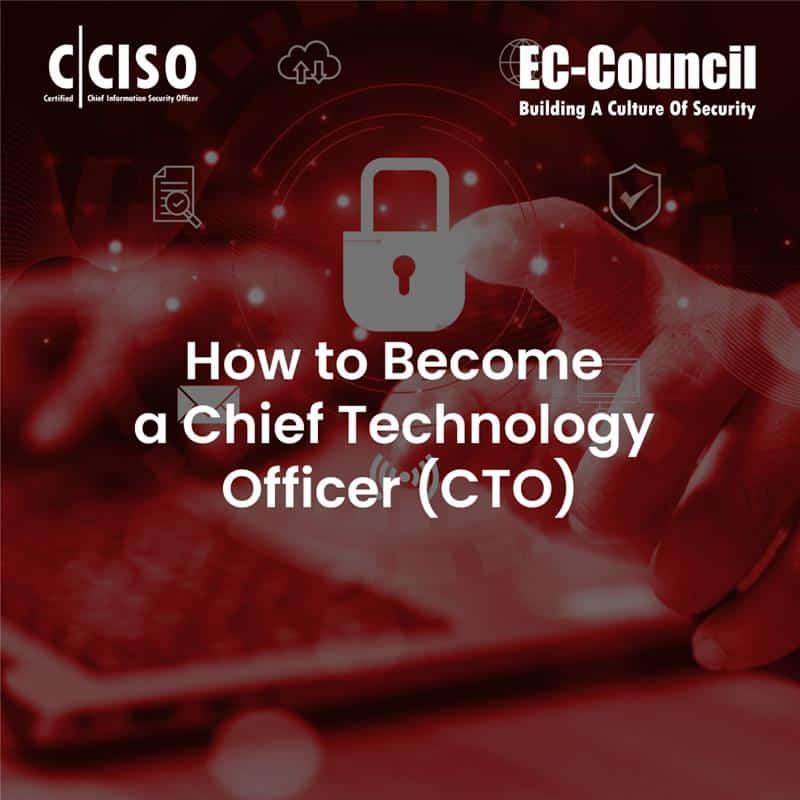 How to Become a Chief Technology Officer (CTO): Education Requirements & Pathways