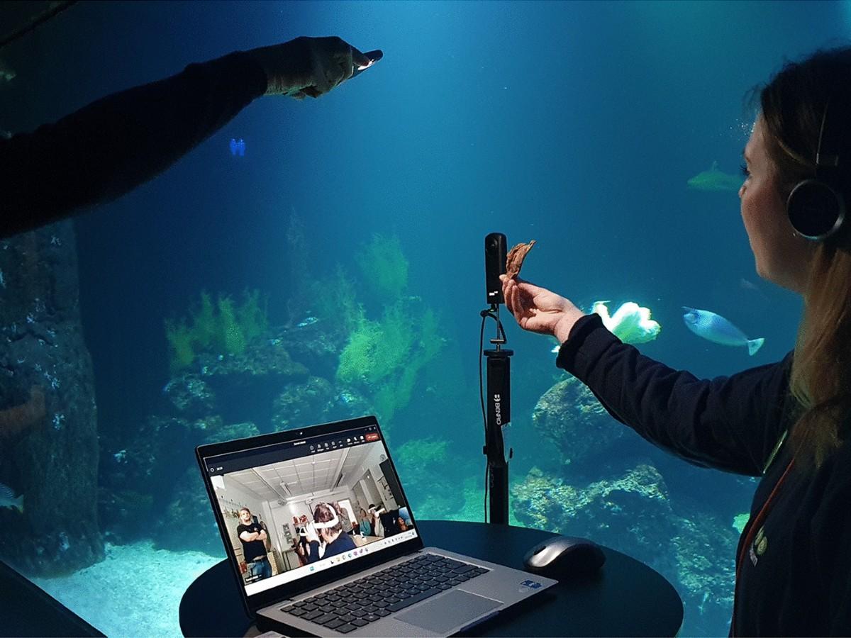Unlocking Learning: 7 Cost-Effective VR Solutions for Schools on Any Budget