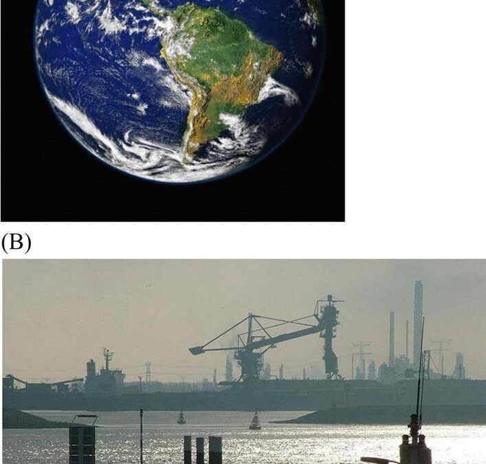 Microlearning vs. Traditional Methods: What Do Students Prefer Most?