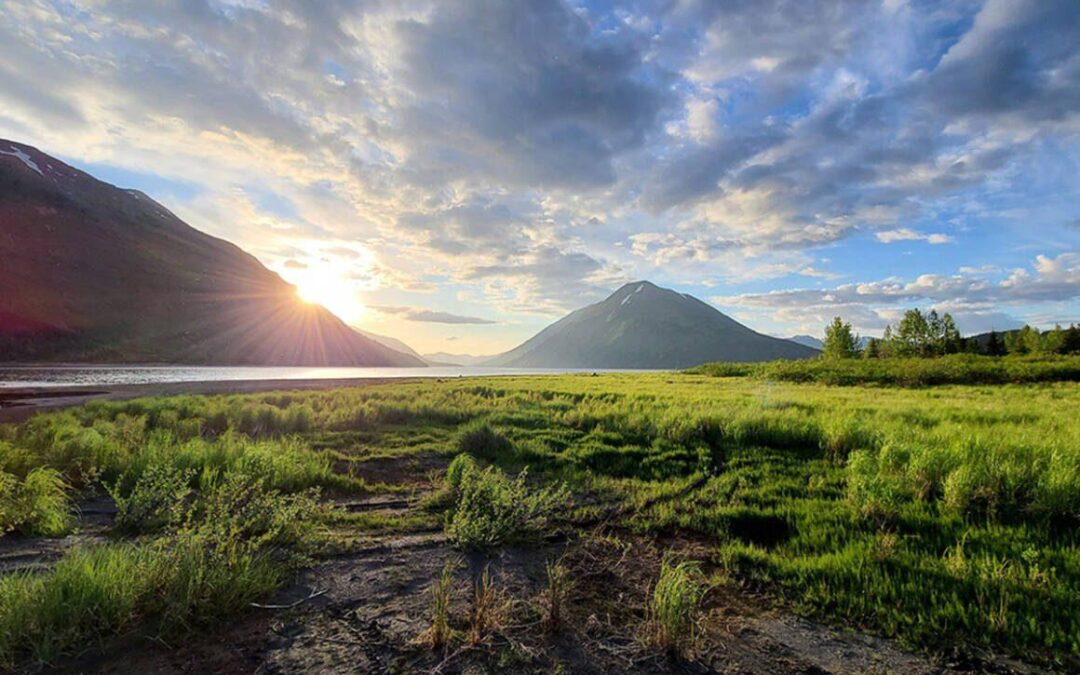 Top Skills Every Curriculum Designer Needs for Success in 2024