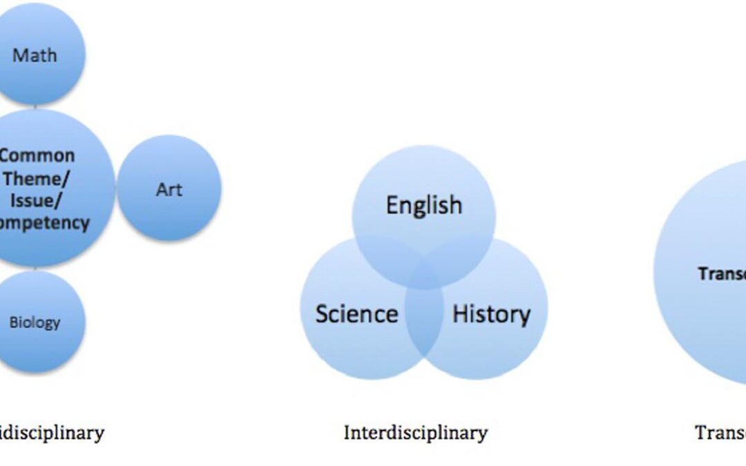 Curriculum Designer: Key Roles, Skills, and Tips for Success in Education