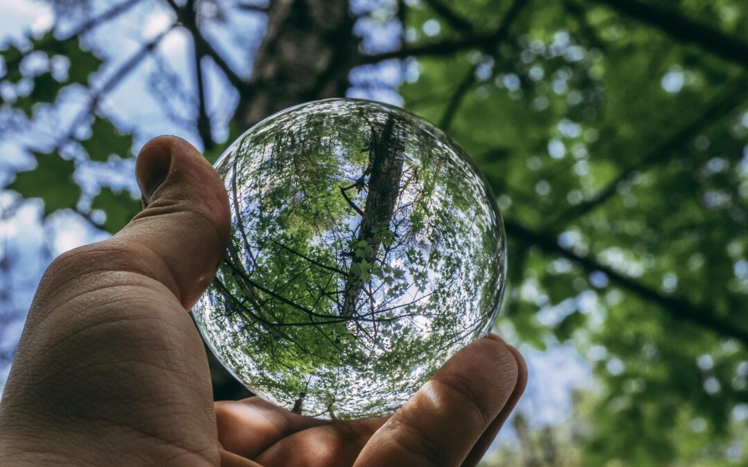 EdTech Meets Environmental Education: Innovating Learning for a Sustainable Future