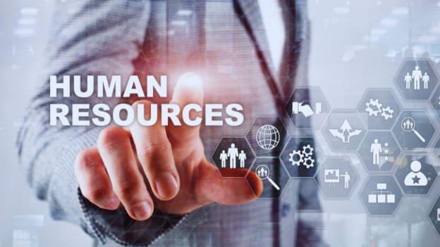 HR Director in EdTech: Key Responsibilities, Skills, and Trends for 2024