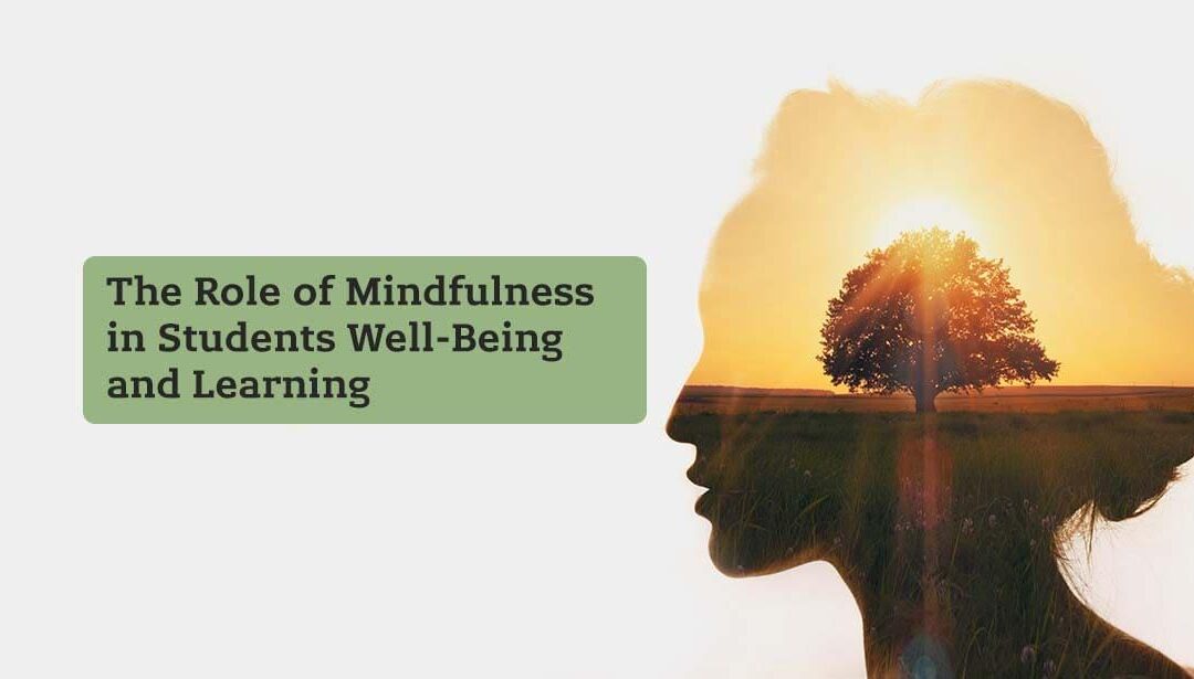 The Role of Mindfulness in Education: Enhancing Focus, Wellbeing, and Academic Success