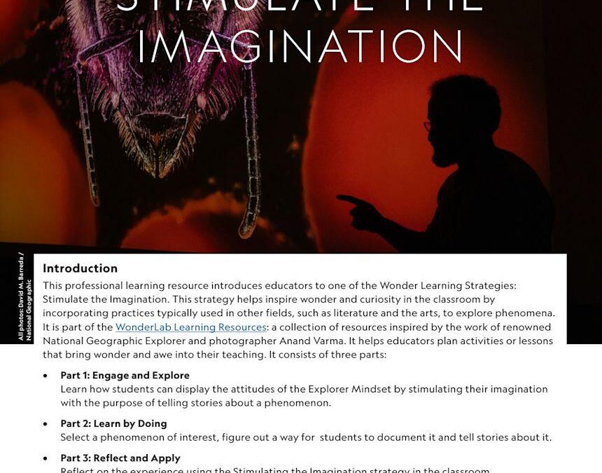Unlocking the Role of an Interaction Designer in EdTech: Skills, Impact, and Career Pathways