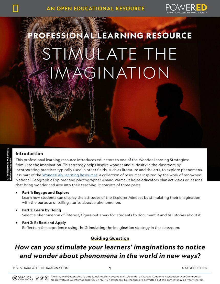 Unlocking the Role of an Interaction Designer in EdTech: Skills, Impact, and Career Pathways