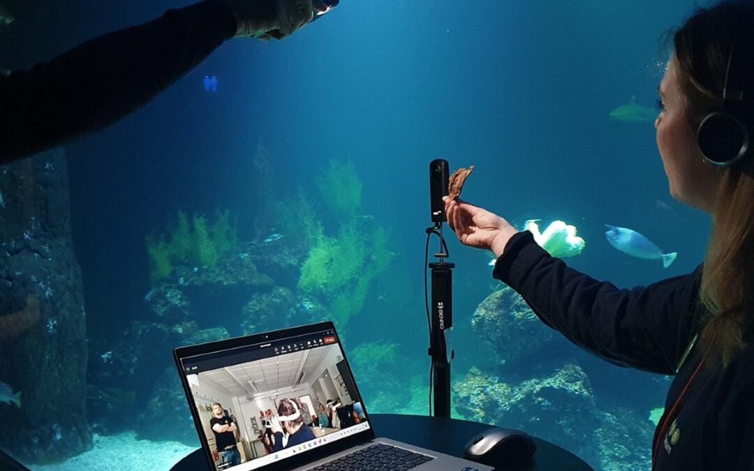 Overcoming Challenges in Integrating VR/AR into Curricula: Key Strategies for Educators