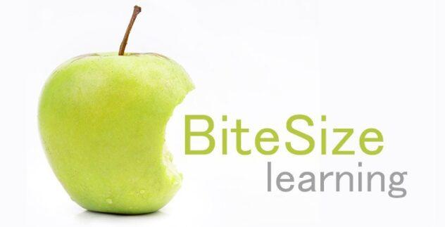 Measuring the Impact of Bite-Sized Learning: Strategies, Metrics, and Proven Benefits
