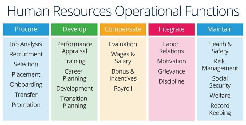 Top Skills and Responsibilities of an HR Director in EdTech