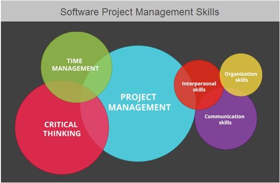 Top Skills and Roles of a Software Engineer in EdTech: Your Guide to a Rewarding Career
