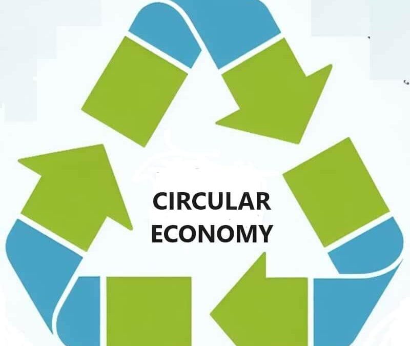 Top 7 Sustainable Technologies Revolutionizing Educational Settings