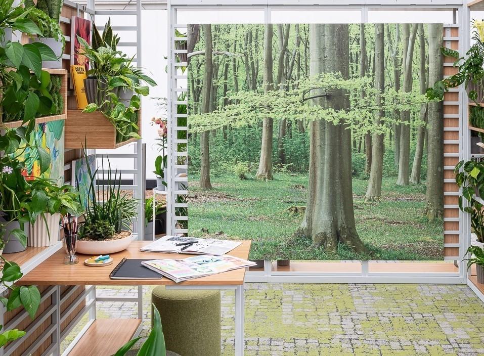 Hybrid Classrooms: Top Design Strategies for Maximum Flexibility