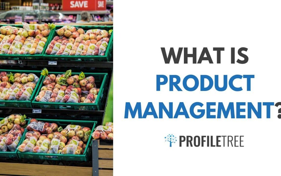 Associate Product Manager: Role, Responsibilities, and How to Land the Job in 2024