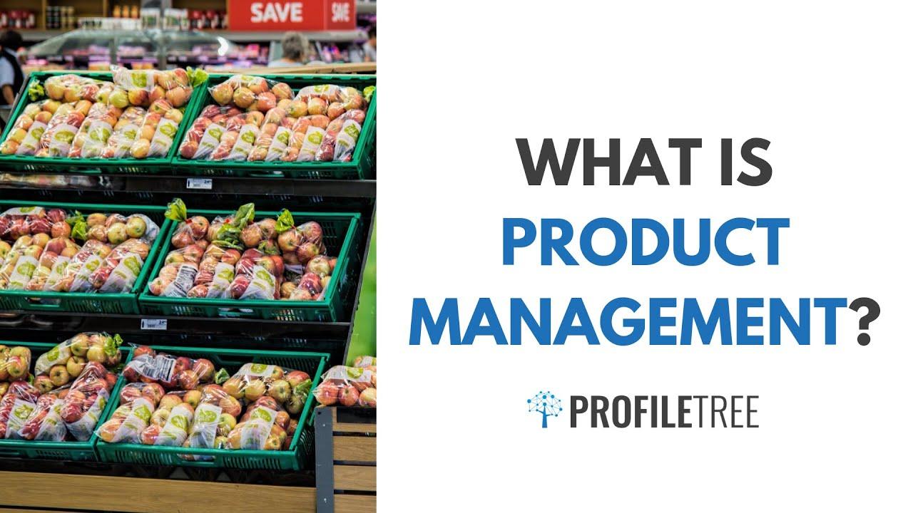 Associate Product Manager: Role, Responsibilities, and How to Land the Job in 2024