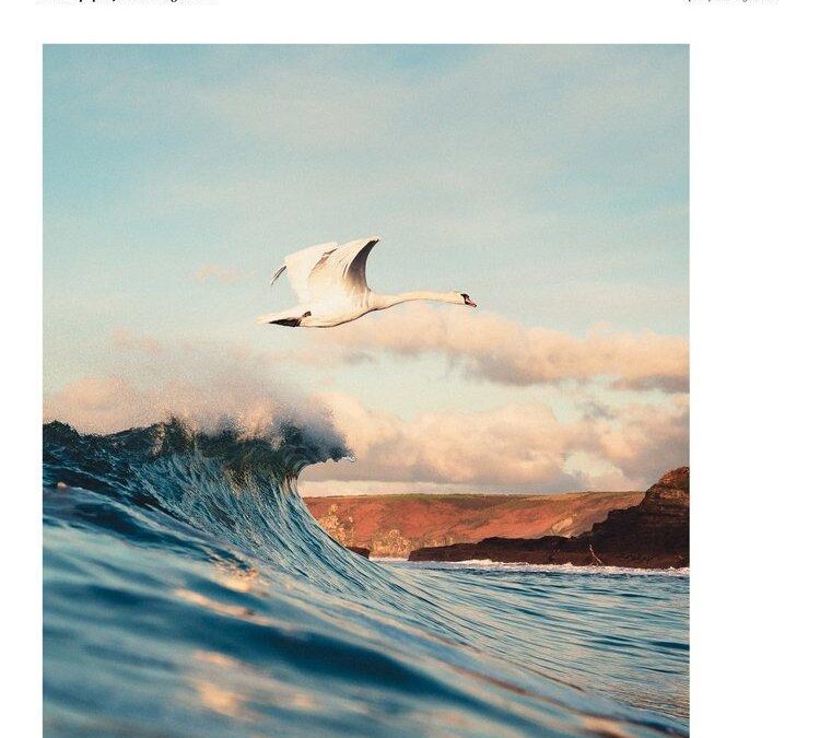 Curriculum Developer: Key Skills, Roles, and How to Become One in 2024