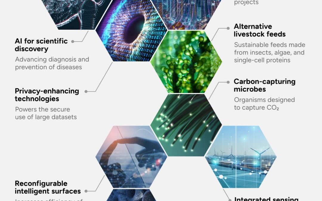 EdTech Innovations 2024: Predicting the Next Big Thing in Education Technology