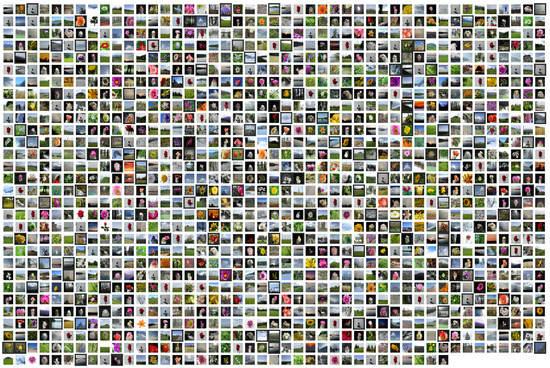 How Blockchain Revolutionizes Verifying Qualifications: Secure, Transparent Credentials