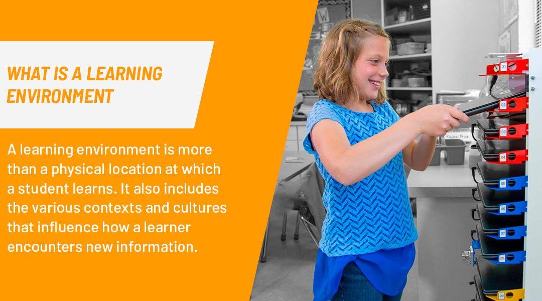Effective Strategies for Assessing Student Performance in Online Learning Environments