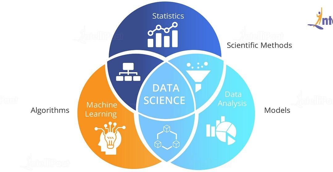 Education Data Scientist: Essential Skills, Career Paths, and Impact on Learning