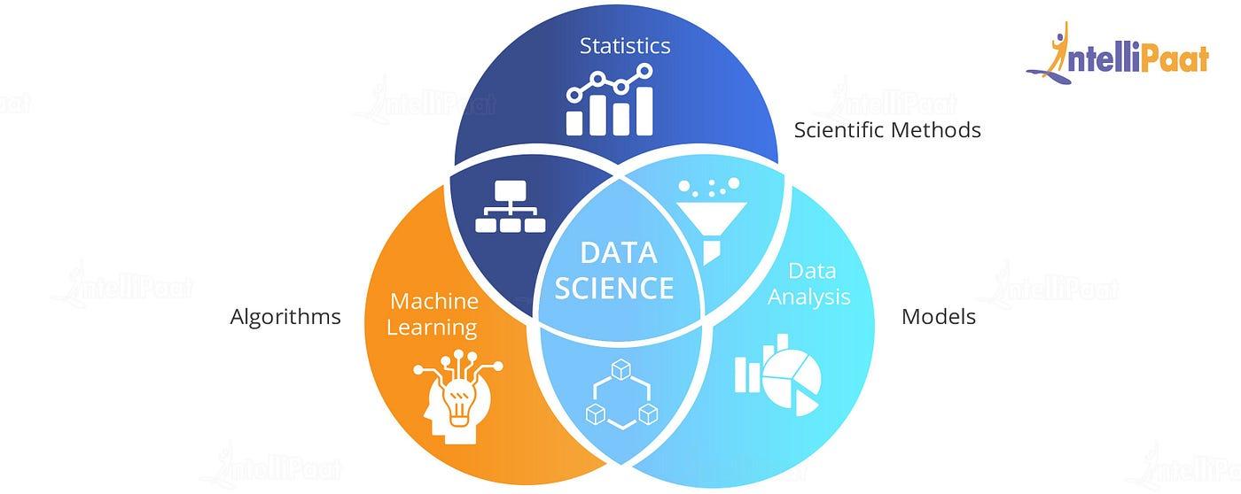 Education Data Scientist: Essential Skills, Career Paths, and Impact on Learning