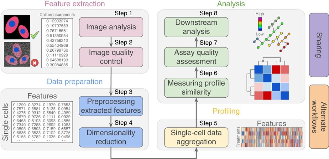 Measuring the Impact of SEL Programs: Effective Strategies and Key Metrics