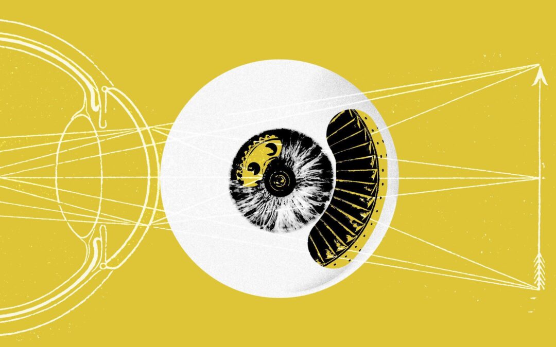 Harnessing AI Engineers: Transforming Educational Applications for the Future
