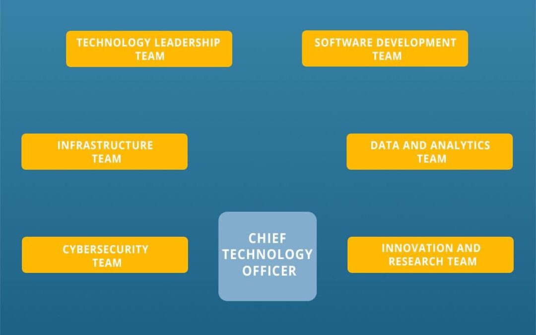 How to Become a Chief Technology Officer (CTO): Essential Education Requirements Explained