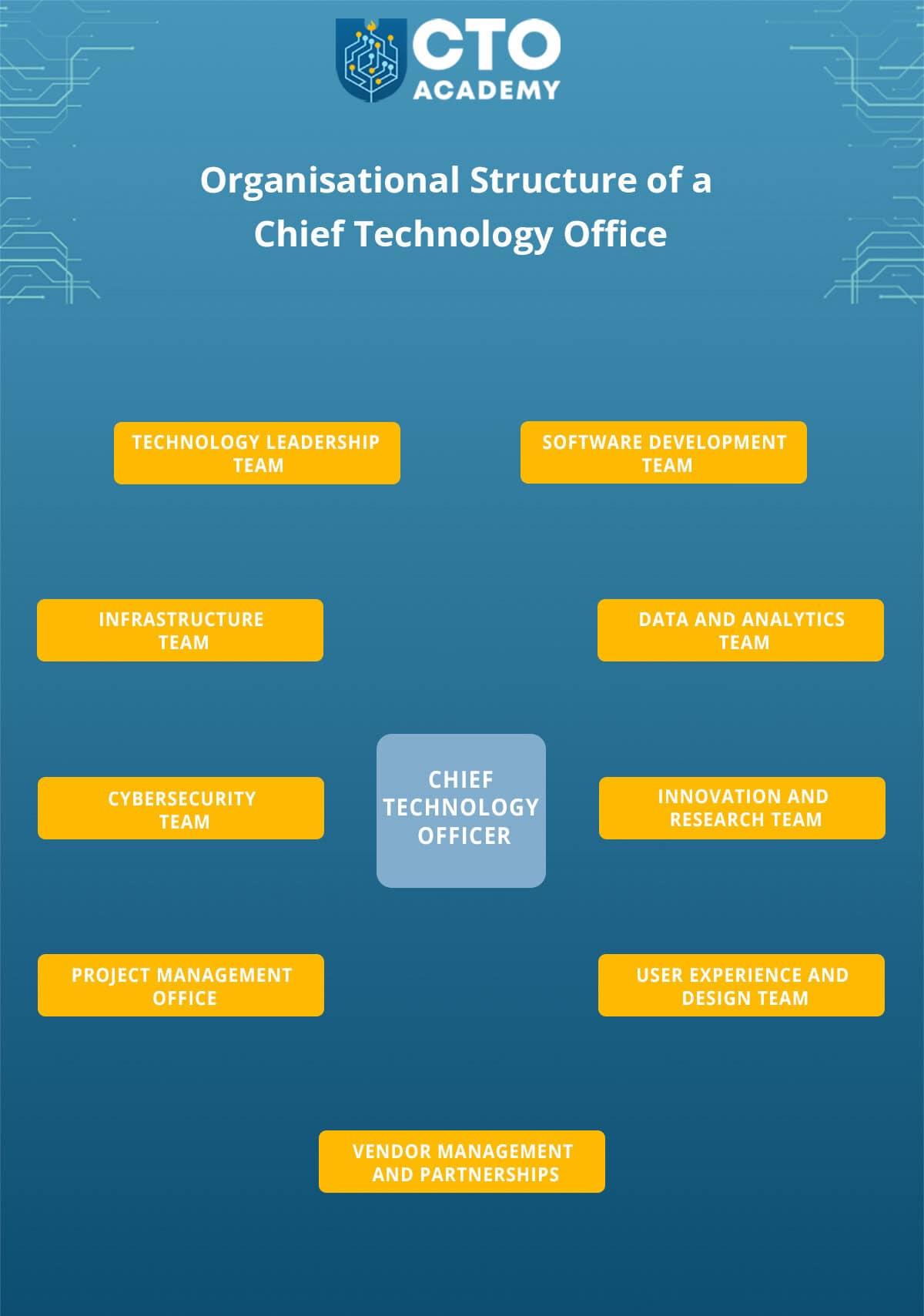 How to Become a Chief Technology Officer (CTO): Essential Education Requirements Explained