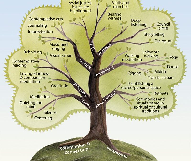 Unlocking Student Potential: The Role of Mindfulness in Modern Education