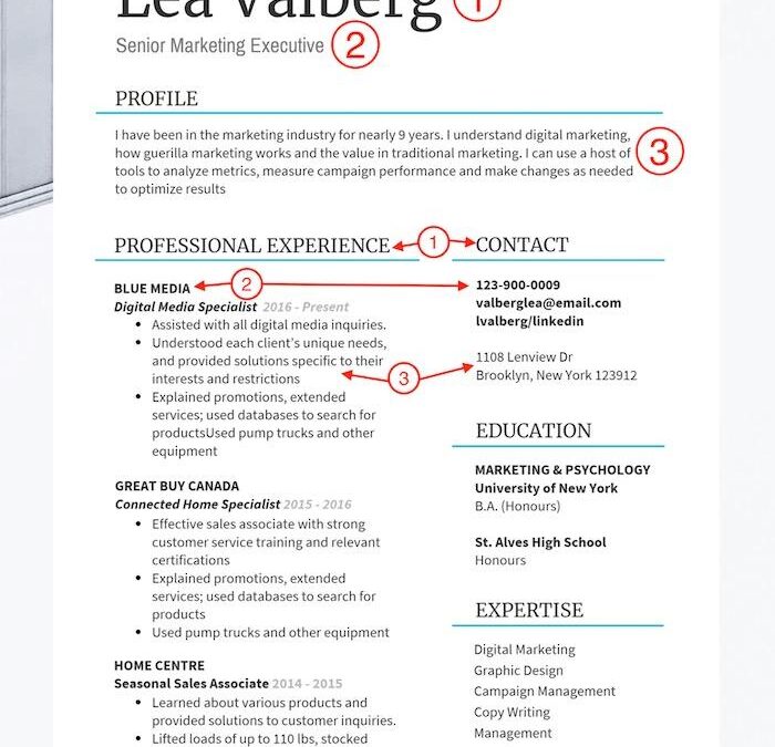 Curriculum Designer: Essential Skills, Roles, and Career Guide