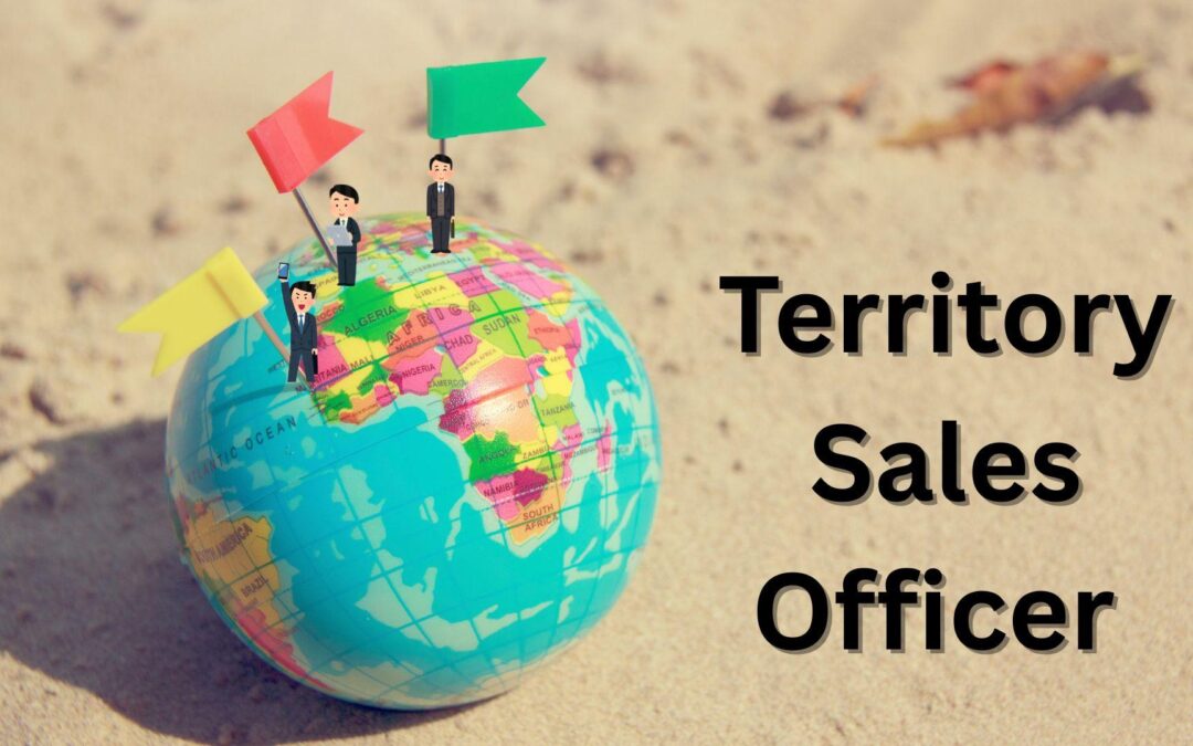 Territory Sales Manager in EdTech: Key Responsibilities, Skills & Career Opportunities